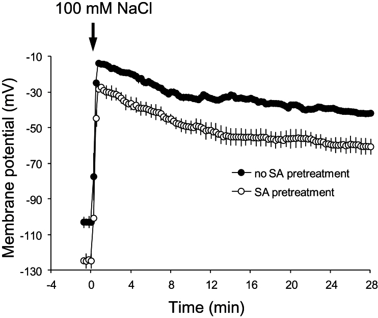 Fig. 6.