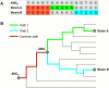 Fig 1