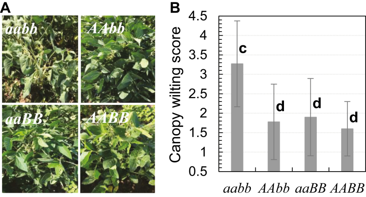 Fig. 6.