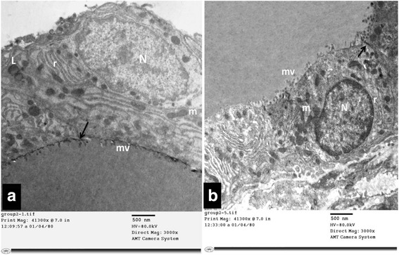 Fig. 5