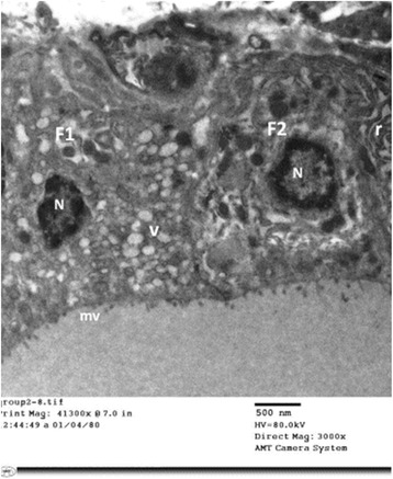 Fig. 7