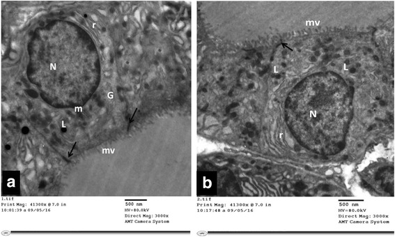 Fig. 10