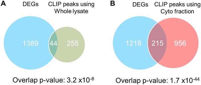 Fig 7