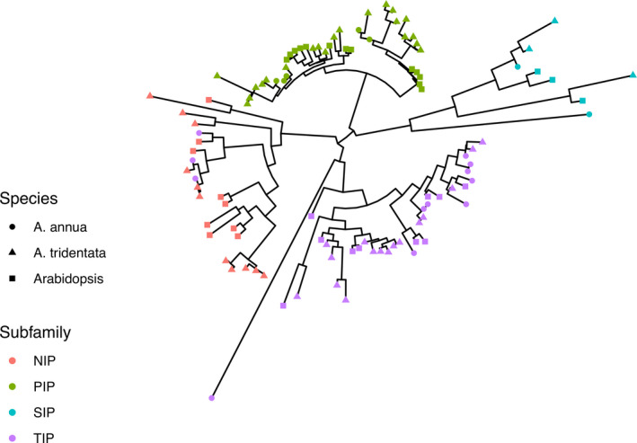 FIGURE 1