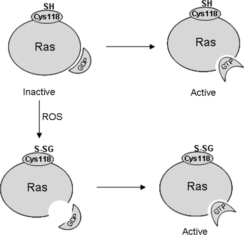 FIG. 5.