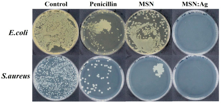 Figure 4