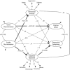 FIGURE 4—