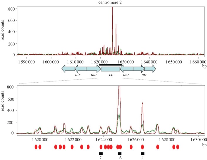 Figure 3.