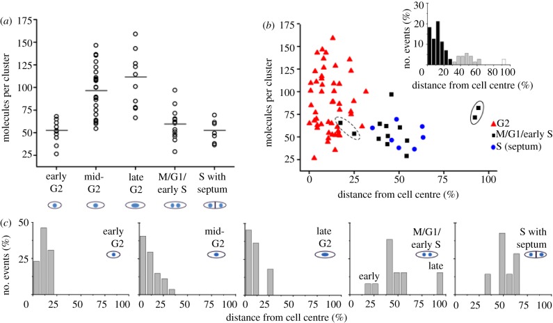 Figure 4.