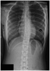 Figure 8