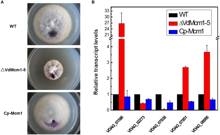 Figure 6