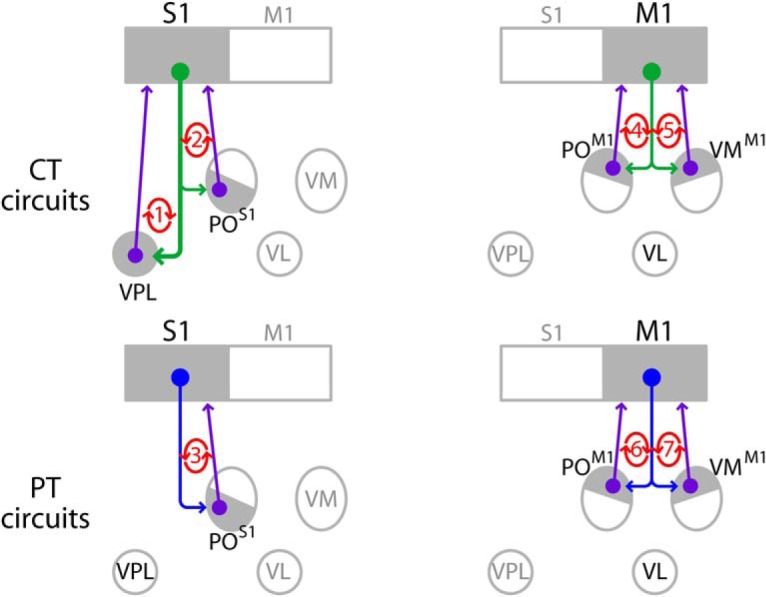 Figure 7.