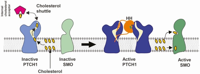 Figure 3.