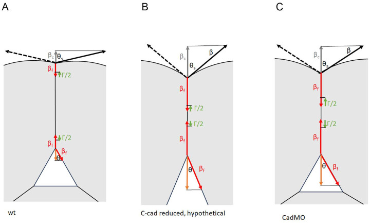 Fig 9