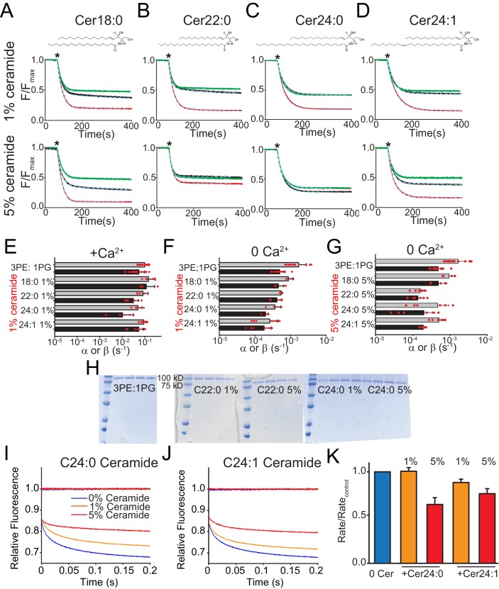 Figure 6—figure supplement 2.