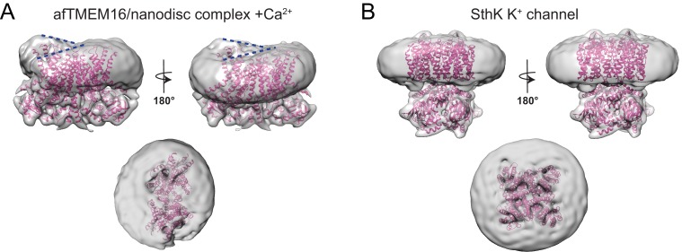 Figure 8—figure supplement 3.