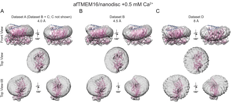 Figure 5—figure supplement 2.