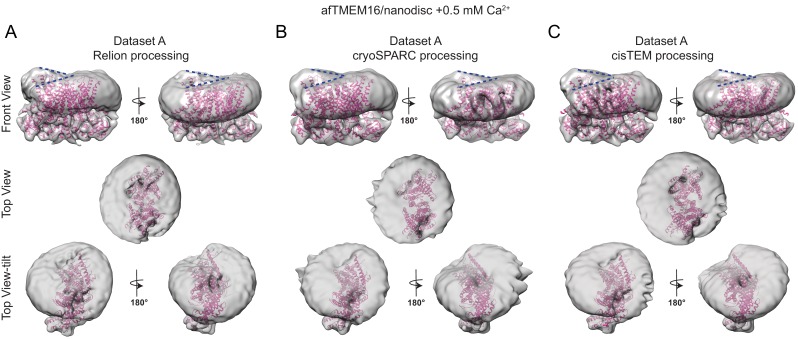 Figure 5—figure supplement 3.