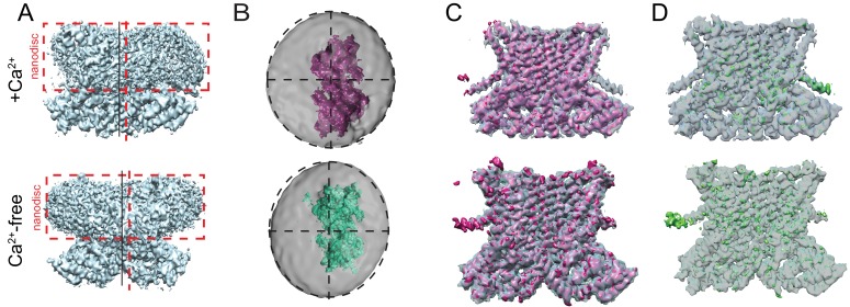 Figure 1—figure supplement 2.