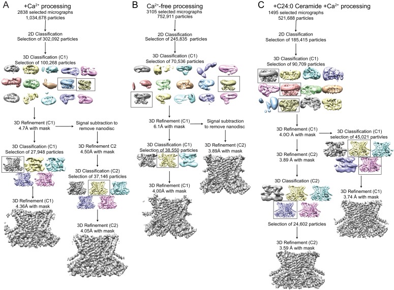 Figure 1—figure supplement 3.