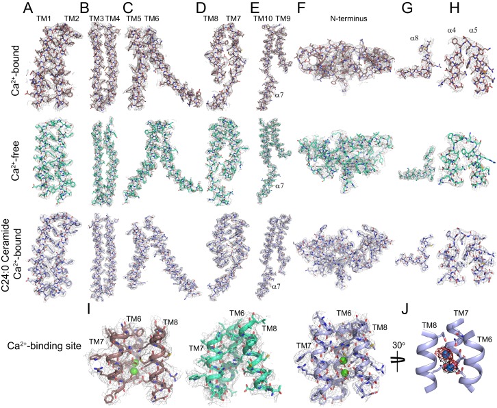 Figure 1—figure supplement 4.