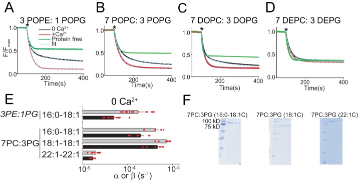 Figure 6—figure supplement 1.