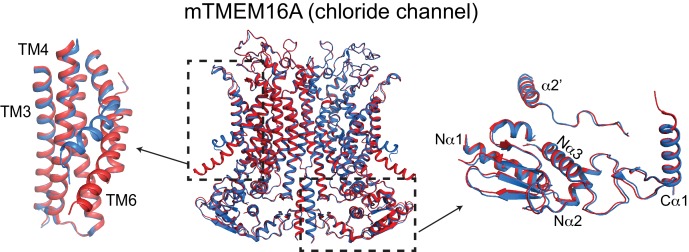 Figure 3—figure supplement 2.