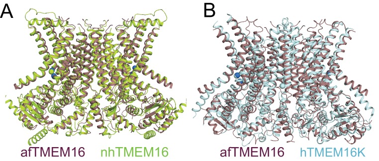 Figure 1—figure supplement 6.