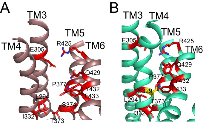 Figure 3—figure supplement 1.