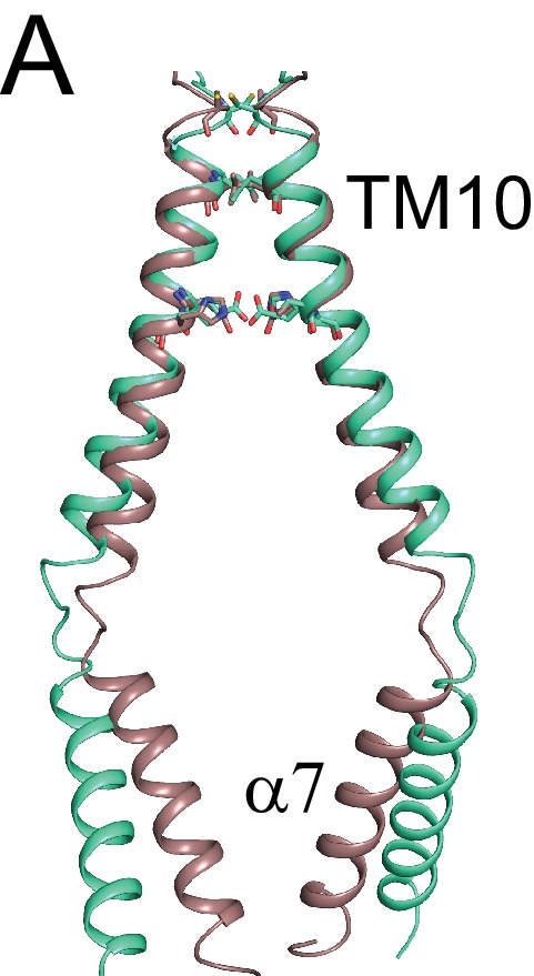 Figure 2—figure supplement 1.