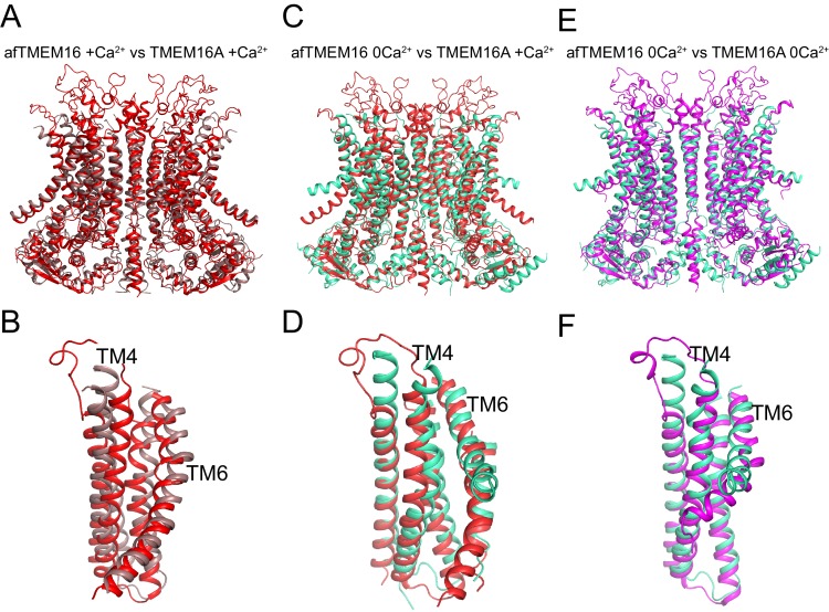 Figure 8—figure supplement 1.