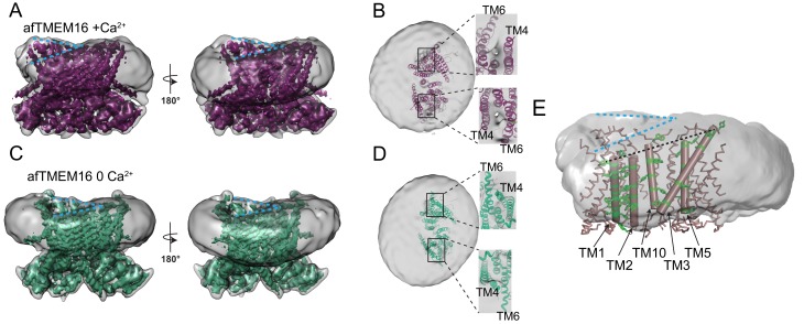 Figure 5.