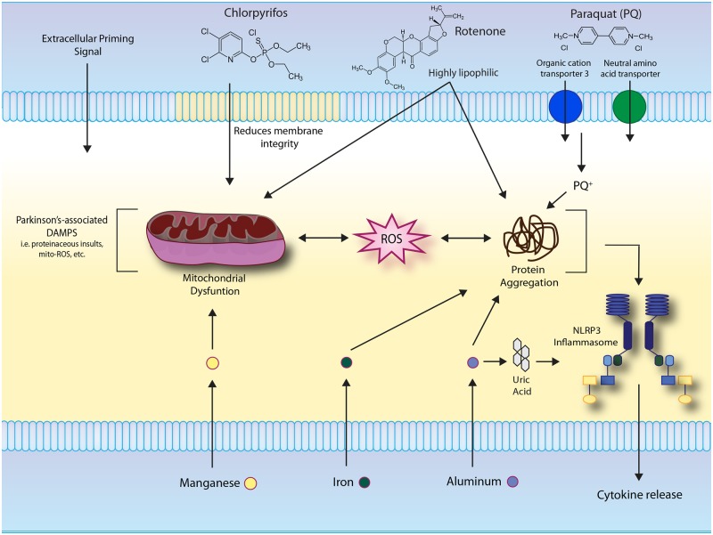 Figure 3.