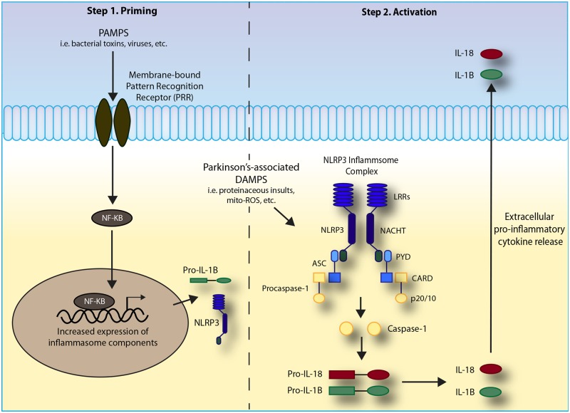 Figure 1.