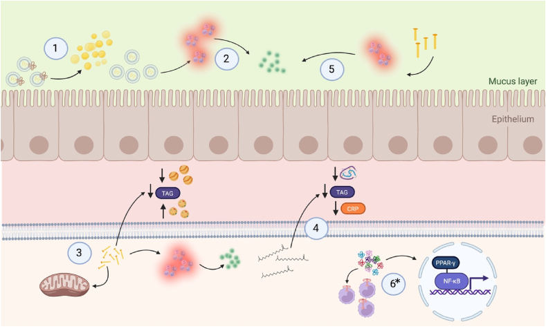 FIGURE 2