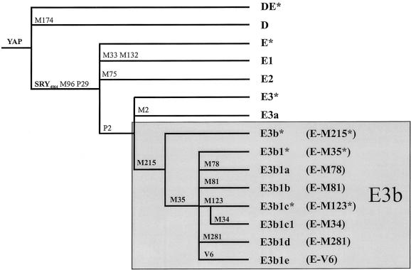 Figure  1