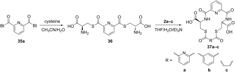 Scheme 2