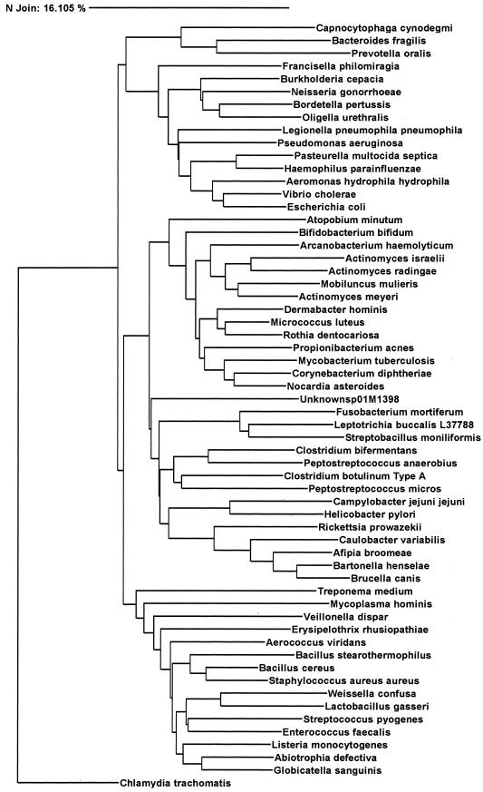 FIG. 2.