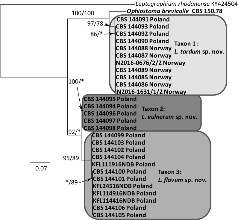 Fig. 7