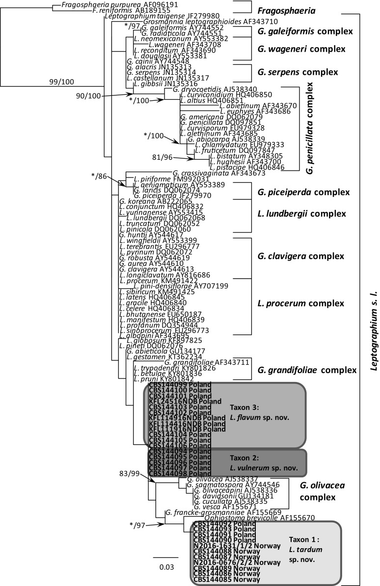 Fig. 3