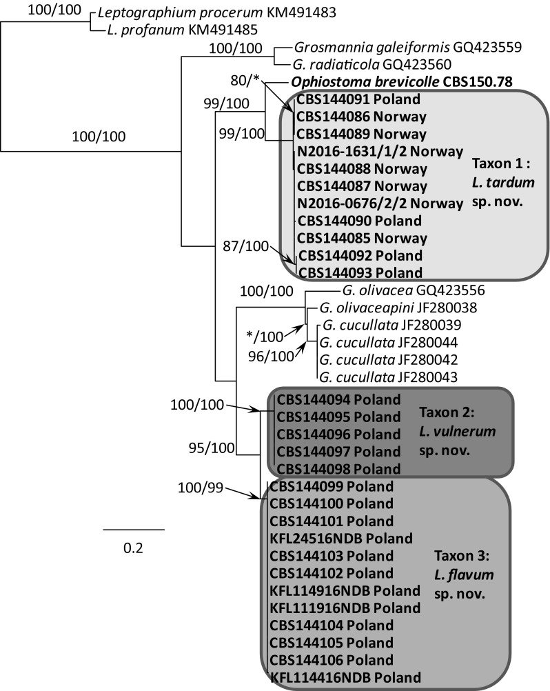 Fig. 6