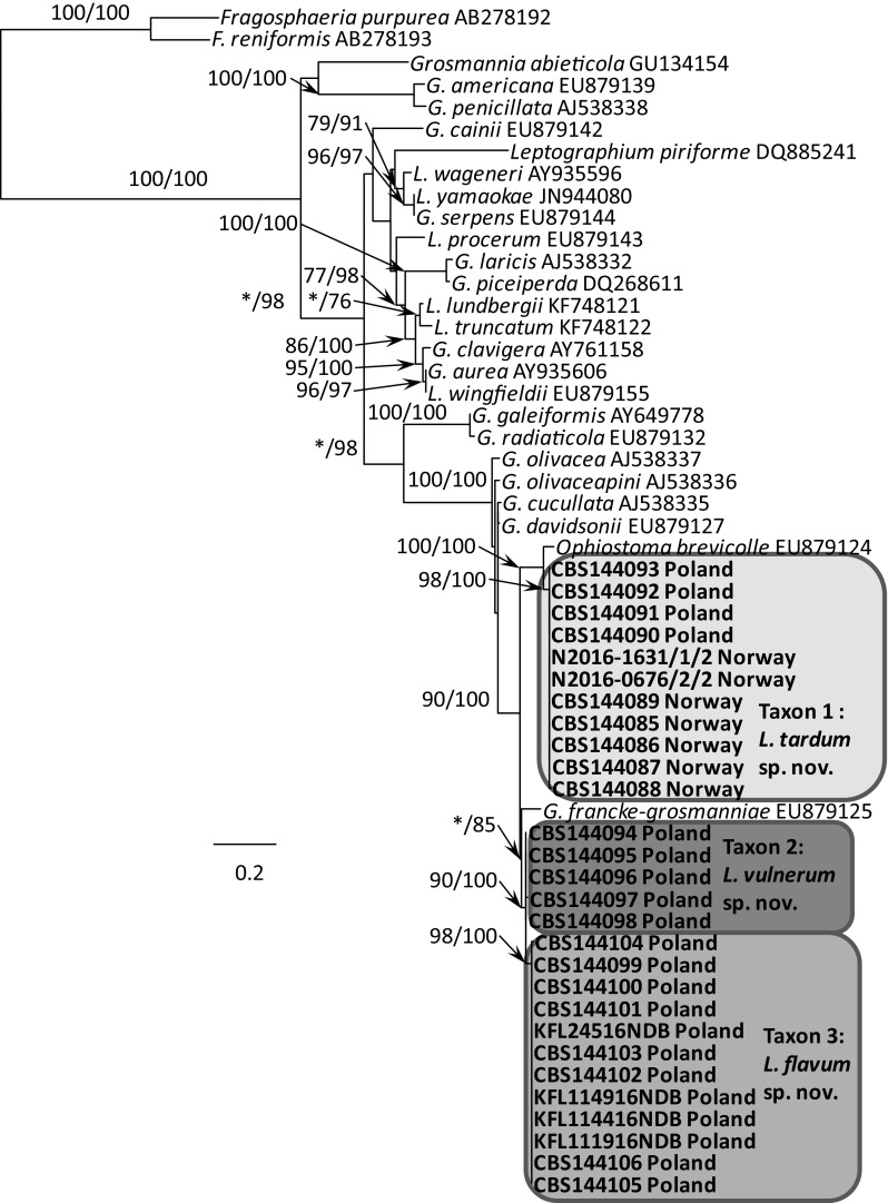 Fig. 4