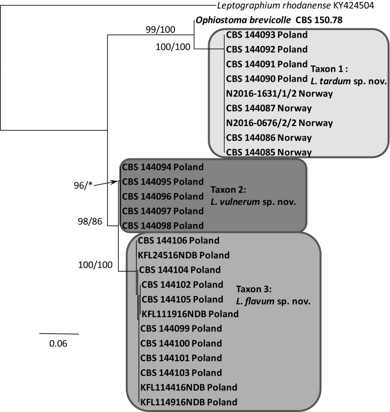 Fig. 8