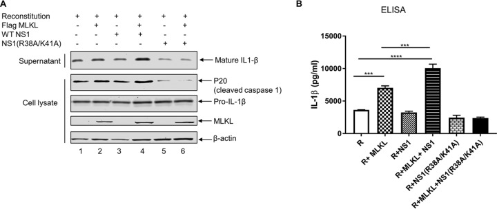 FIG 6