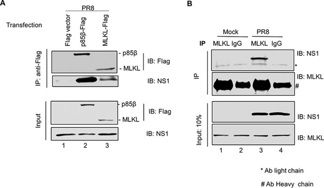 FIG 3