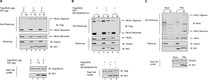 FIG 5