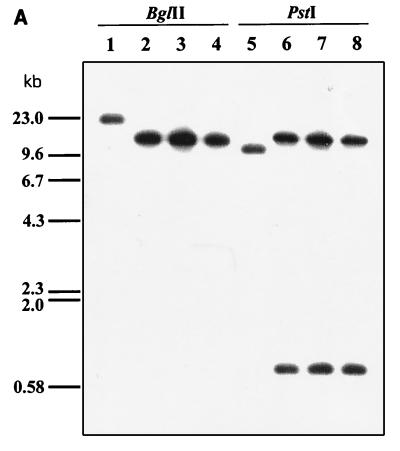 FIG. 5