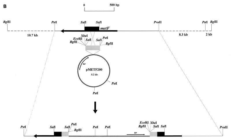 FIG. 5