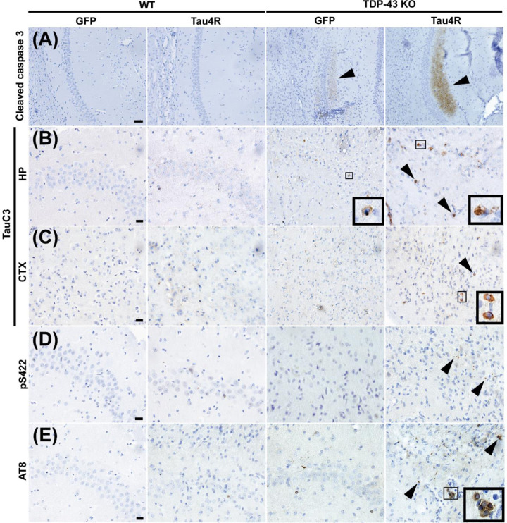 Figure 7.