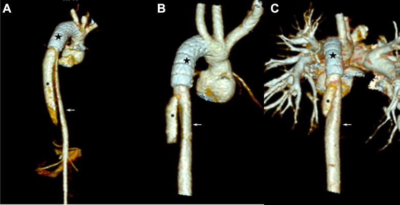 Figure 3